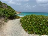 Isla Caja de Muerto - PONCE